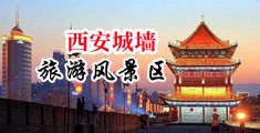 良家肉洞中国陕西-西安城墙旅游风景区