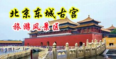 欧美美女尻B中国北京-东城古宫旅游风景区